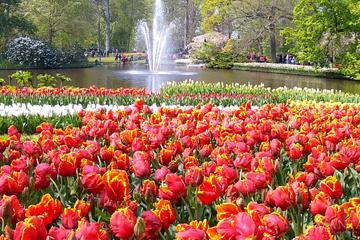Guided Keukenhof and Diamonds Tour