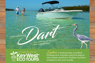 Dart Backcountry Private Customized Charter