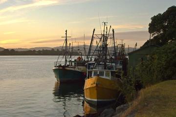 Tauranga Self-Guided Audio Tour