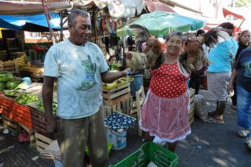 Private Guided Tour of Everyday Acapulco