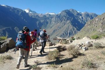 2-Day Custom Colca Canyon Trek from Arequipa