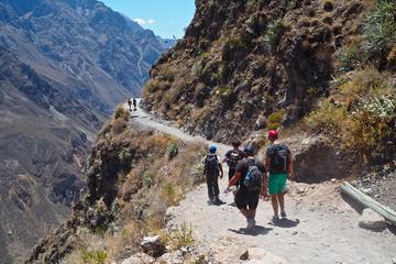 3-Day Backpacker Colca Canyon Trek from Arequipa