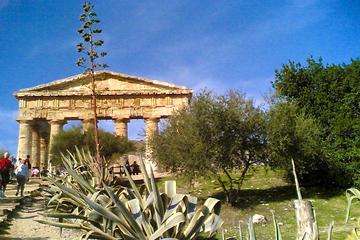 Private Shore Excursion: Segesta and Erice from Trapani