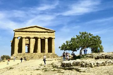 Private Tour from Palermo to Agrigento with Local Guide