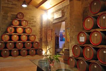 Private Wine Tour and Archeological Area of Selinunte with local Guide
