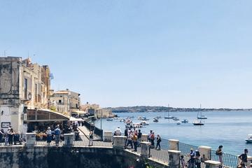 Syracuse & Catania with Licensed Local Guide - Exclusive Private Shore Excursion