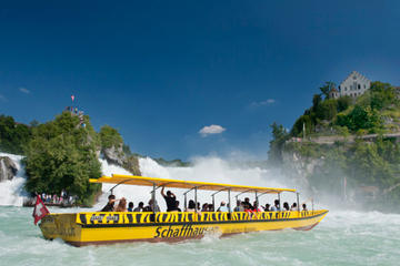Rhine Falls Half-Day Trip from Basel with Hotel Pickup and Drop-off
