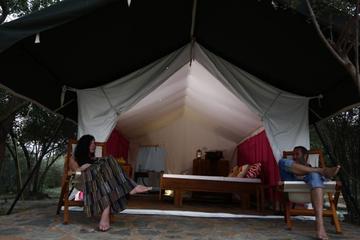 Luxury Camping at Yala National Park with Leopard Safari
