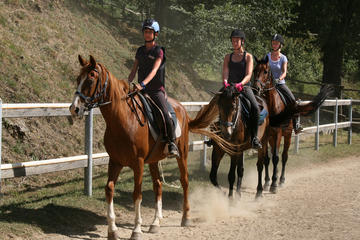 Half-Day Horseback Ride in Tuscany for beginner riders