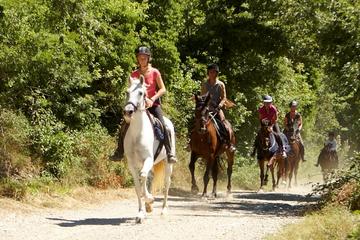 Half-Day Horseback Ride in Tuscany