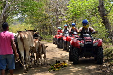 ATV CANOPY Tour in the Papagayo Gulf