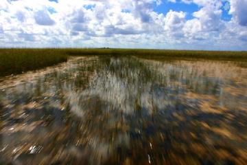 90-Minute Private Air Boat Tour of Everglades National Park