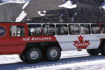 Ice Explorer Glacier Tour and Glacier Skywalk