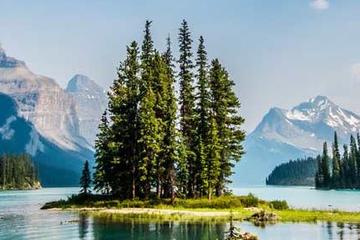 Maligne Lake Cruise