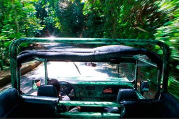 Half-Day Jeep Tour of Tijuca Forest