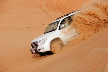 Dubai Desert Evening Private Safari with Desert Camp Activities and Dinner