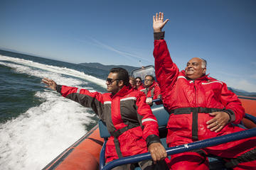 Bowen Explorer Sea Safari Tour