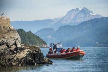 Howe Sound Sea Safari Cruise