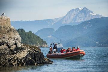 Safari-Bootstour/Howe Sound Sea