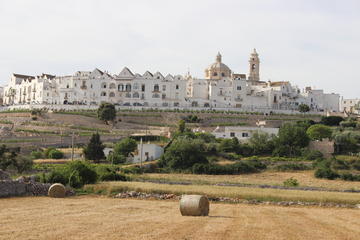 Apulian Bike Tour with Wine Tasting from Locorotondo