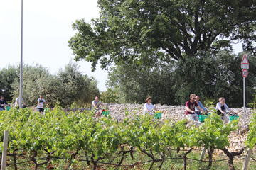 Private e-bike tour with wine tasting