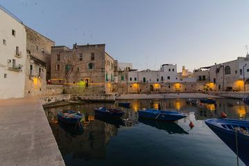 Sea, Nature and Olive Oil: 3-Hour Bike Tour to Discover the Apulian Specialties from Monopoli