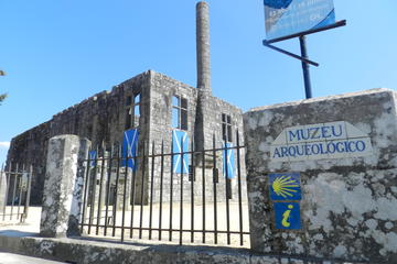 Panoramic tour in Barcelos and Workshop of Mushroom Farming