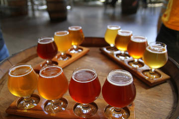 Private Craft Brew Tour