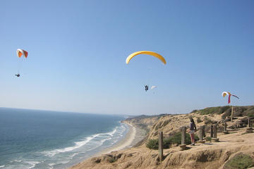 San Diego Beach and La Jolla Torrey Pine Tour