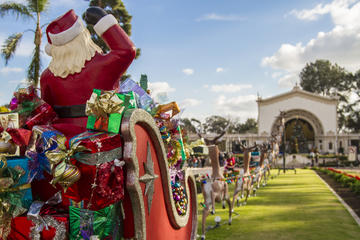San Diego Holiday Lights Tour