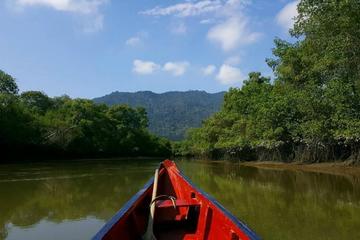 Ecological Reserve Churute Mangrove and Cocoa Farm