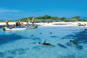 Full Day Española Island