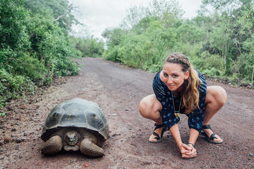 Full-Day Isabela Island Tour