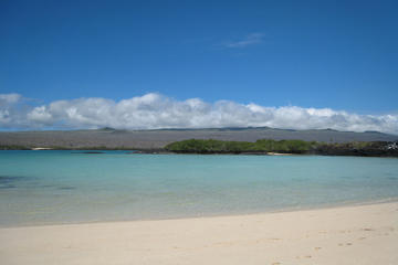Full-Day Tour with Lunch to Santa Fe Island and Playa Escondida