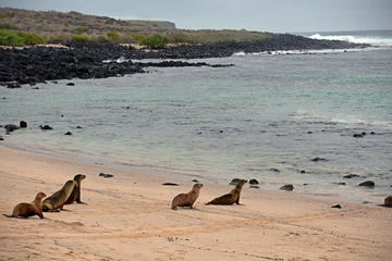 Half-Day Santa Cruz Island-Bahia Tour