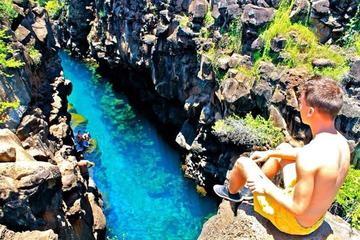 Half-Day Santa Cruz Island Tour Galapagos Islands