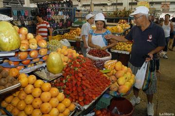 Homemade Local Food Tour in Guayaquil