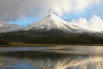 Private Cotopaxi National Park Tour from Quito