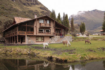 Shared Cajas National Park Full Day Tour