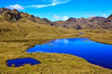Shared Cajas National Park Half-Day Tour from Cuenca