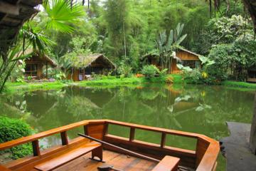 Shared Mindo Cloud Forest Tour from Quito