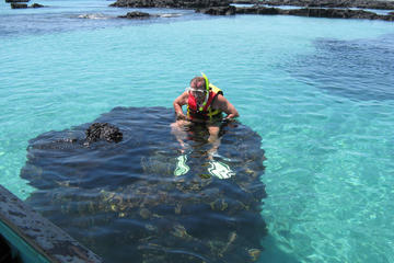 Transfer from Isabela Island to Santa Cruz Island