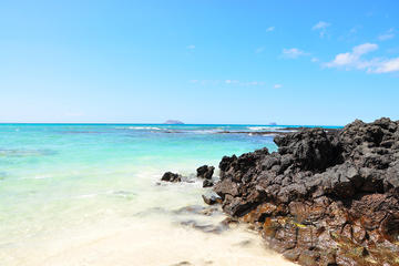 Transfer from Santa Cruz Island to Isabela Island