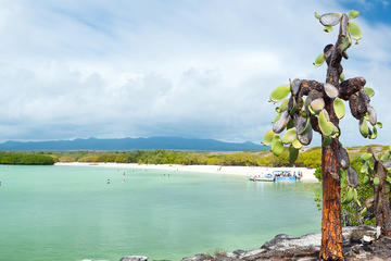 Transfer from Santa Cruz Island to San Cristobal Island