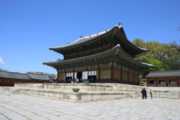 Afternoon Seoul Tour Including Hanbok and Shopping Experience