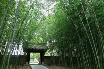 Cultural Day Trip to Jeonju Hanok Village and Gyeonggijeon
