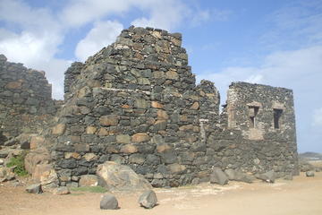 Private Tour on AC Minivan to Highlights of Aruba