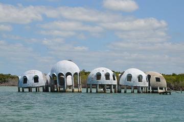 Cape Romano Shelling and Sightseeing Boat Tour from Marco Island