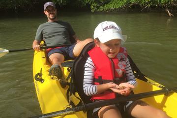 Rookery Bay Reserve Kayak Ecotour in Naples