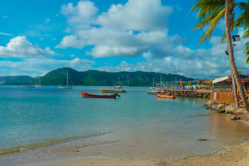 Authentic Tour of Southern Martinique